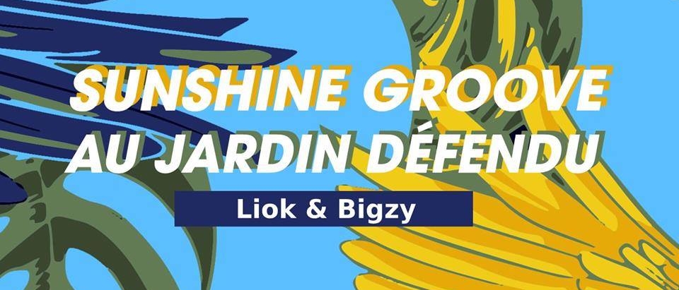 ☼ Sunshine Grooves ☼ Liok & Bigzy