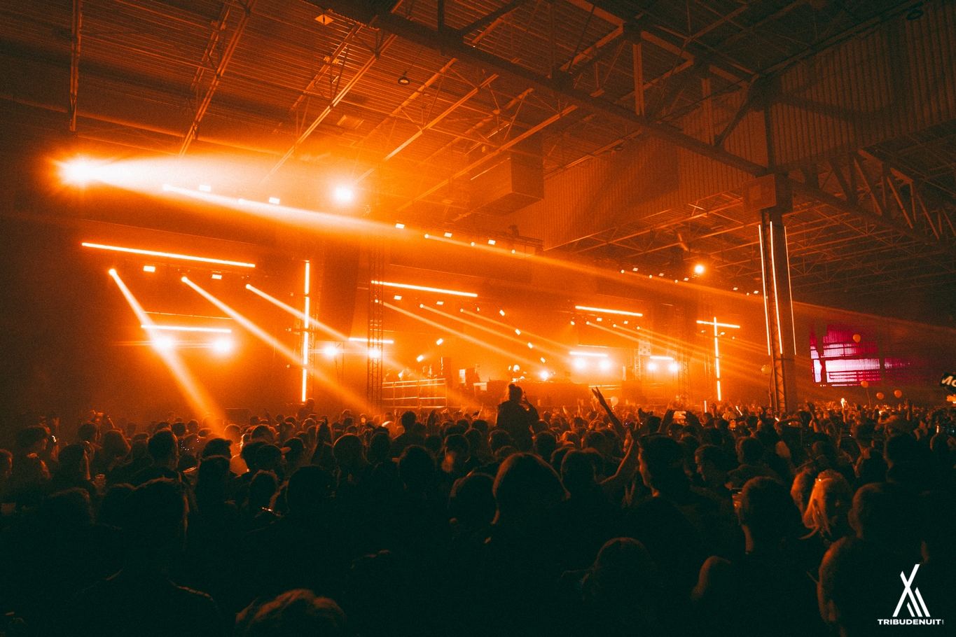 dream nation festival