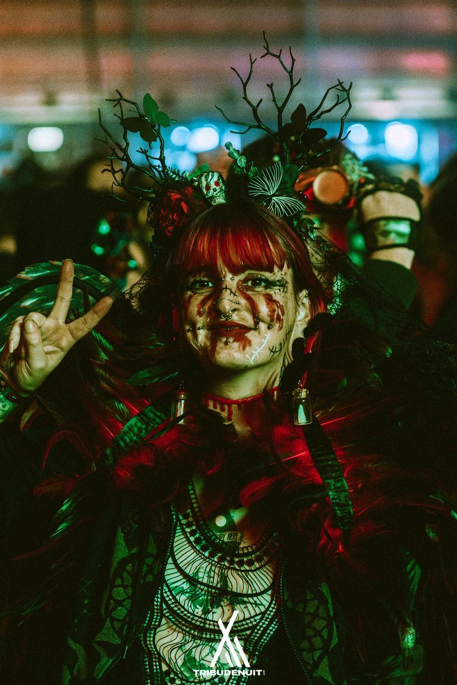 DREAM NATION FESTIVAL