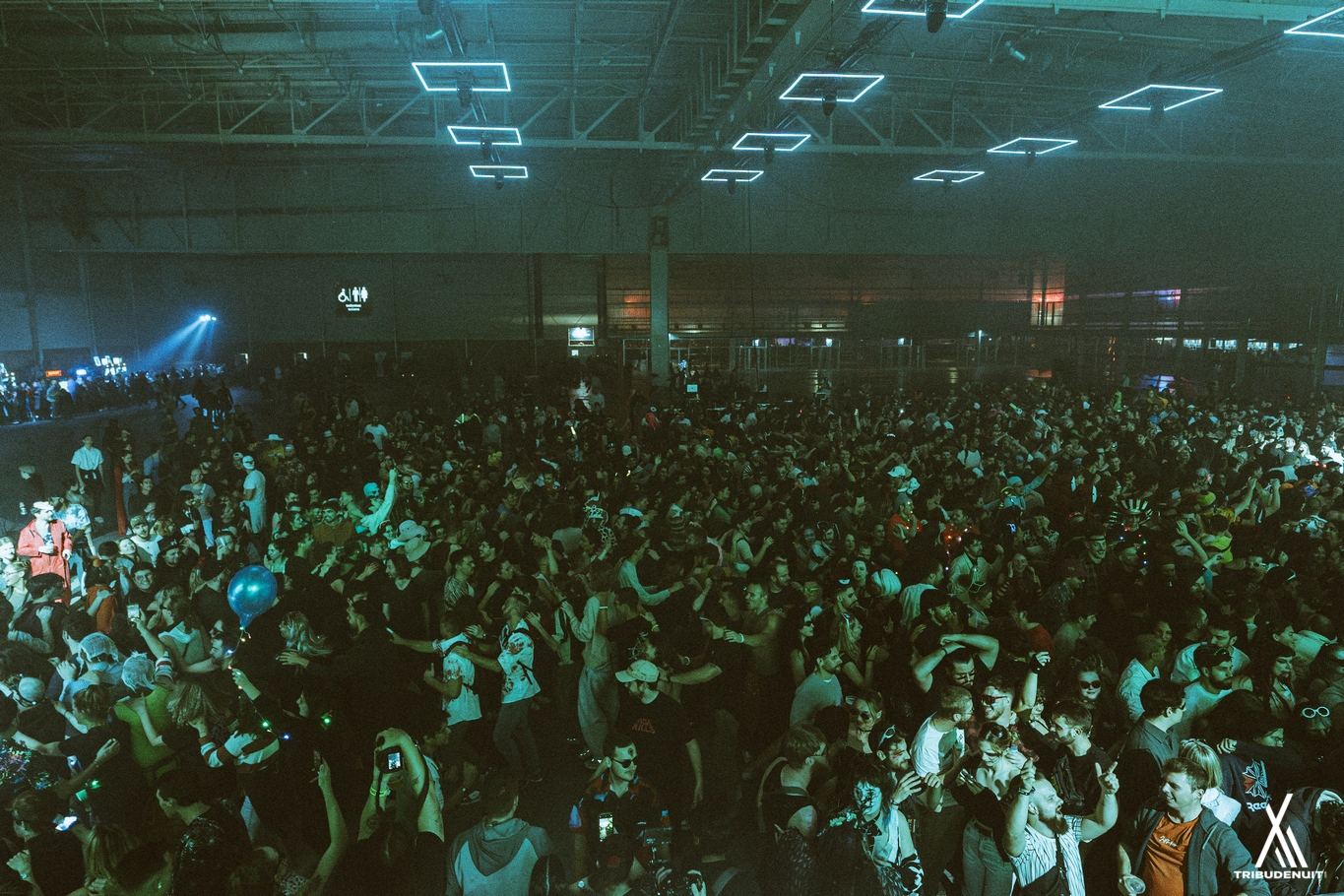 DREAM NATION FESTIVAL