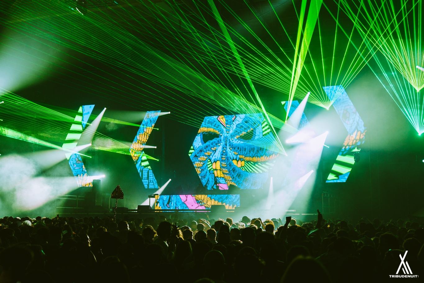DREAM NATION FESTIVAL