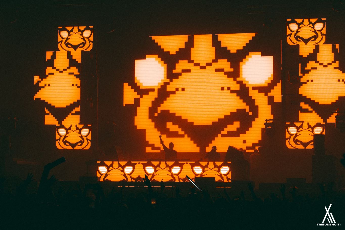 DREAM NATION FESTIVAL