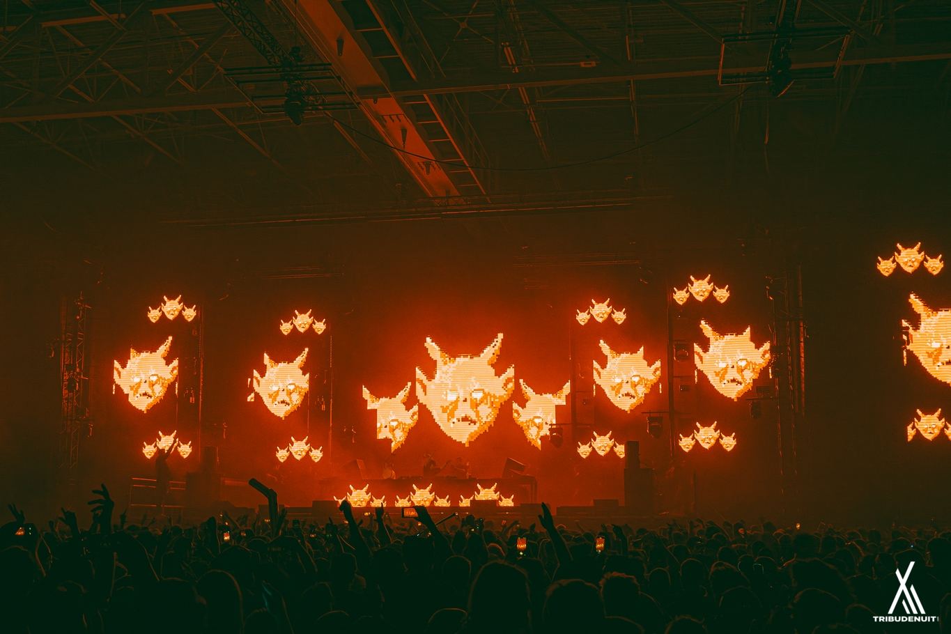 DREAM NATION FESTIVAL