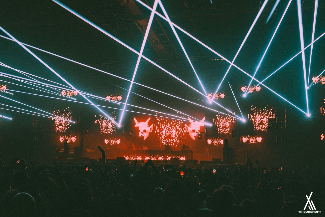 DREAM NATION FESTIVAL