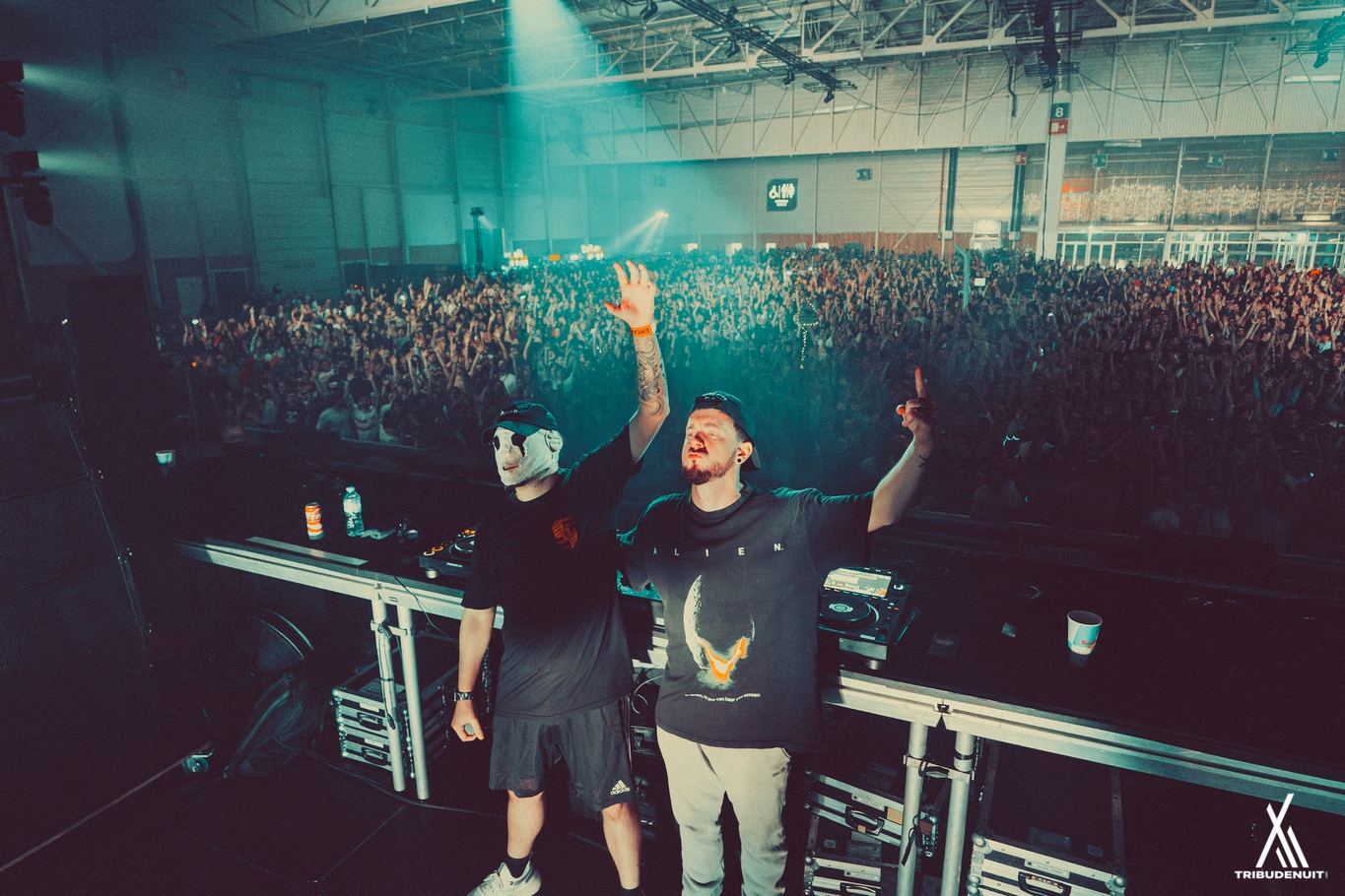 DREAM NATION FESTIVAL