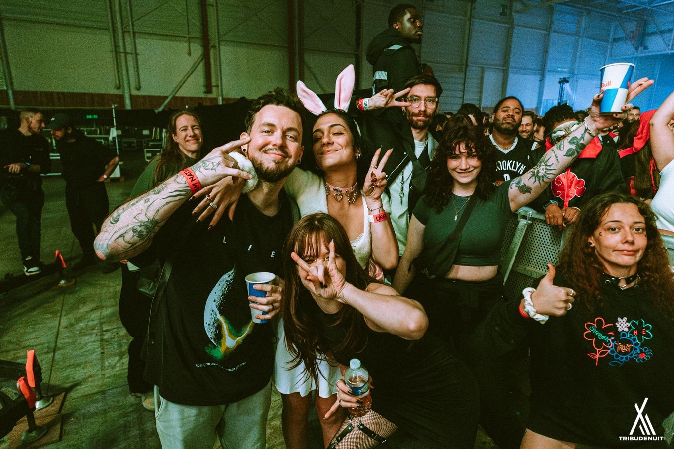DREAM NATION FESTIVAL
