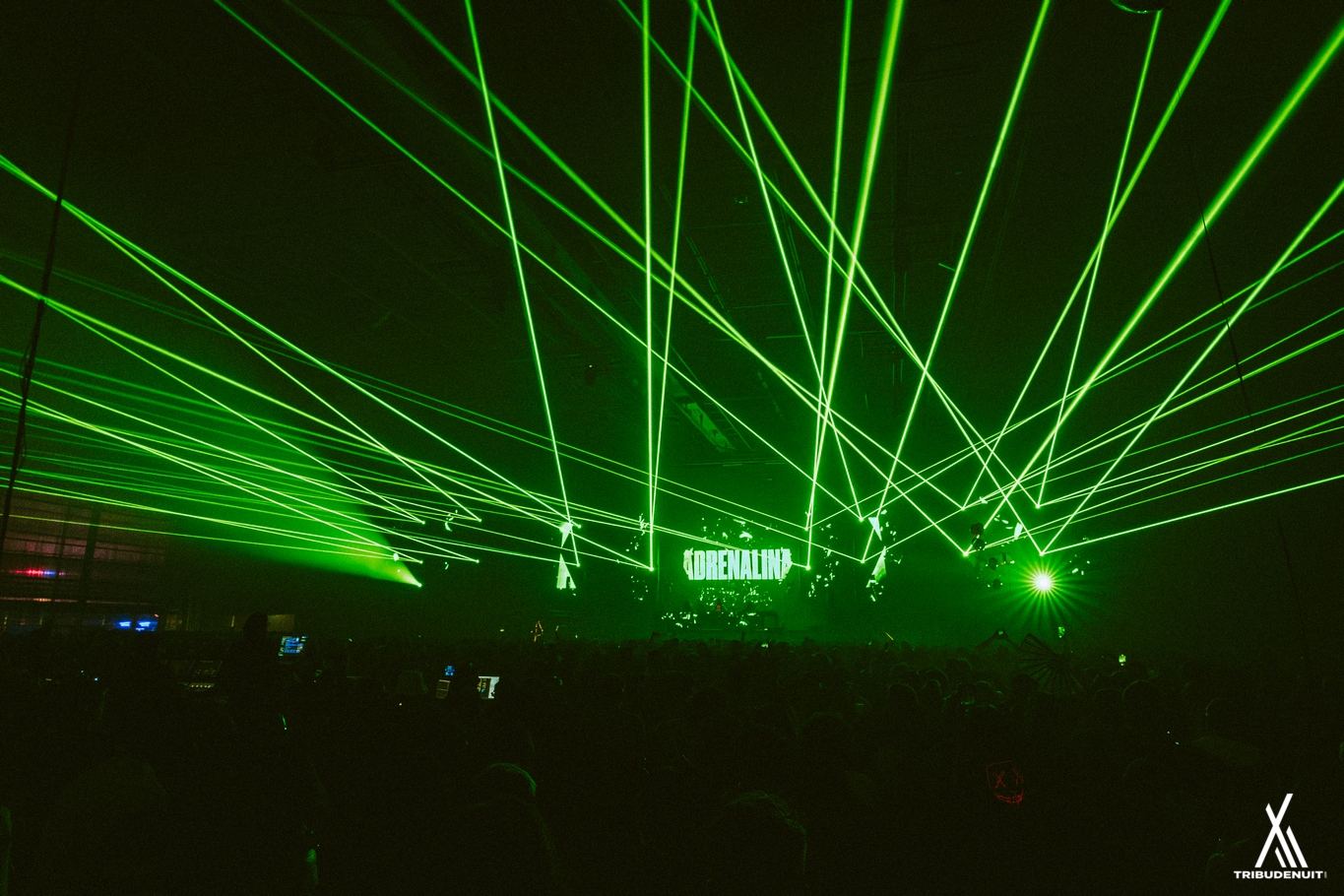 dream nation festival