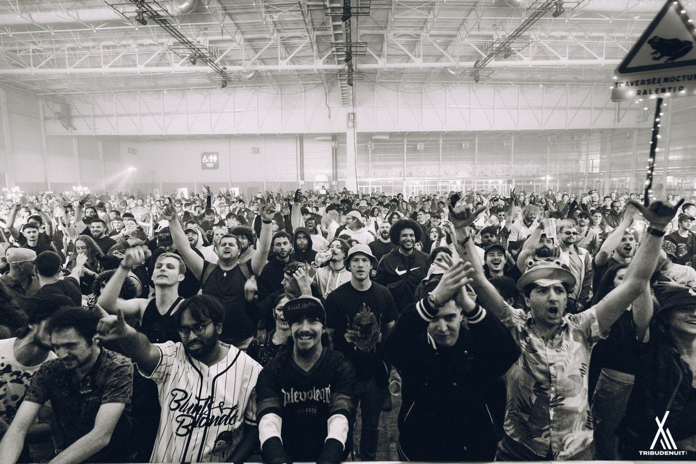 DREAM NATION FESTIVAL