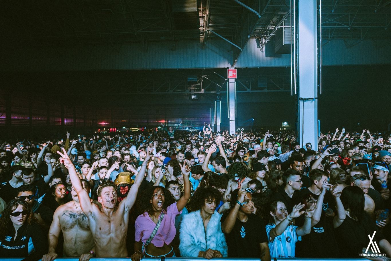 dream nation festival
