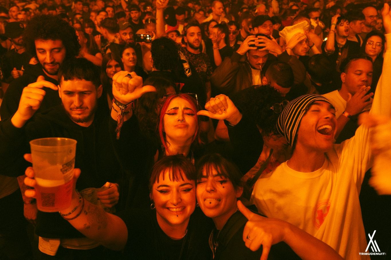DREAM NATION FESTIVAL